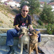 testere, 44