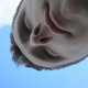 Denis, 38