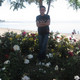 Murat, 43